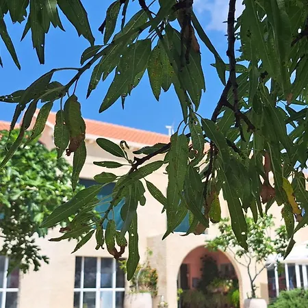 Stone Gardens אכסניה *